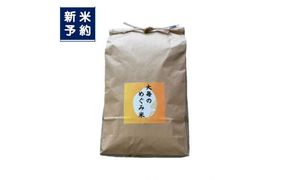 【新米受付・令和8年産米】新潟県村上市産　コシヒカリ「大毎のめぐみ米」5kg　1093003N