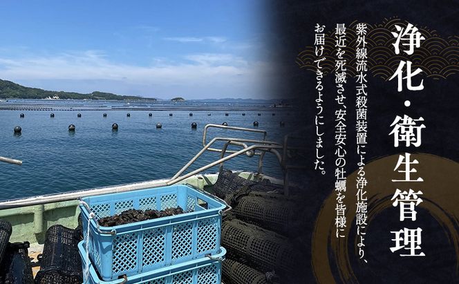 【 小豆島 】小豆島産 シマビト牡蠣　生食用殻付き牡蠣　20個　2026年1月8日以降発送 牡蠣 カキ 生牡蠣 生食用 殻付き 