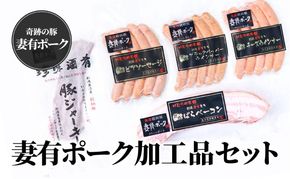 【魚沼銘柄豚】妻有ポーク加工品セット 肉 お肉 豚肉 ウインナー ソーセージ ベーコン ジャーキー 加工肉 詰め合わせ 新潟 