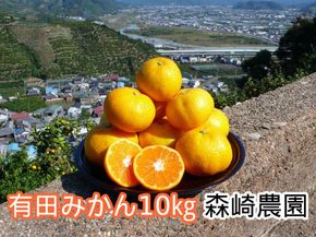 有田みかん 10kg 森崎農園「ふる里みかん」【2024年12月初旬より順次発送】ありだみかん EP002