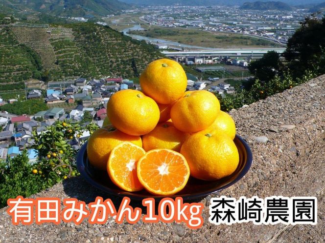 有田みかん 10kg 森崎農園「ふる里みかん」【2024年12月初旬より順次発送】 EP002