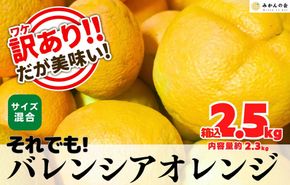 訳あり バレンシアオレンジ  国産 箱込 2.5kg (内容量 2.3kg ) サイズミックス 和歌山県産 産地直送 みかんの会  AX410