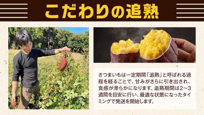 茨城県産 紅はるか 10kg 土付き 無選別 熟成 さつまいも 生芋 芋 サツマイモ 農薬不使用 化学肥料不使用 甘い 焼き芋 スイートポテト ねっとり[DX09-NT]