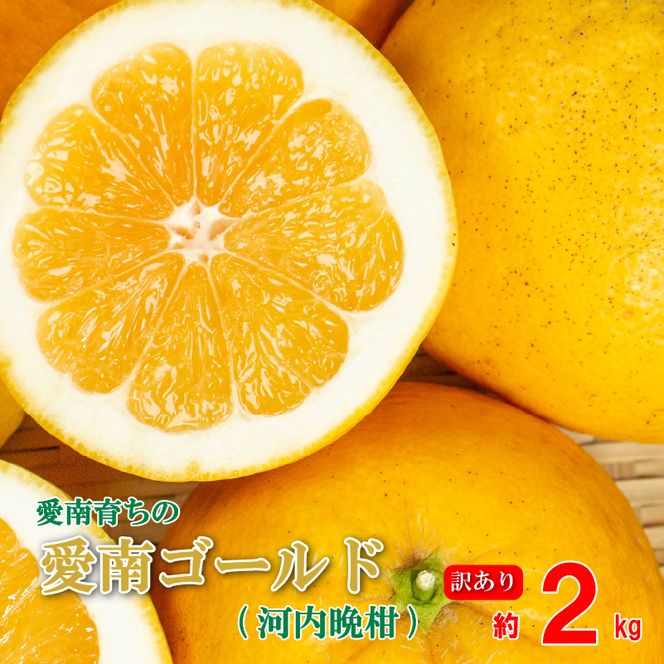 訳あり 愛南ゴールド ( 河内晩柑 ) 2kg みかん 蜜柑 河内晩柑 和製 グレープフルーツ お試し量 傷 不揃い 規格外 常温 愛媛県 愛南町青果市場 発送: 4月上旬～なくなり次第終了