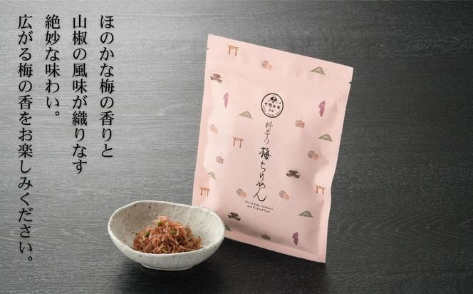 【高島屋選定品】＜下鴨茶寮＞梅ちりめん（デザイン袋）［ 京都 老舗 料亭 梅肉 山椒 京都土産 人気 おすすめ グルメ 京料理 京懐石 ギフト プレゼント お取り寄せ 通販 送料無料 ふるさと納税 ］ 261009_A-AAY003