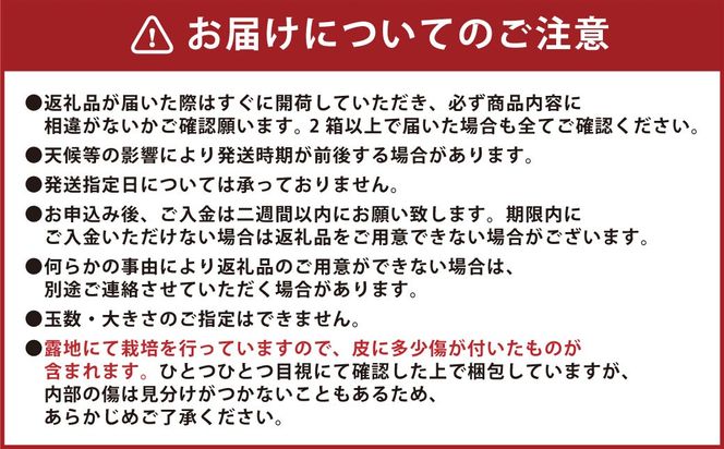 【先行受付】 特選 みかん 5kg 糖度保証 12度！ 【2026年12月上旬から12月下旬発送予定】 温州みかん 果物 フルーツ ミカン 蜜柑 柑橘