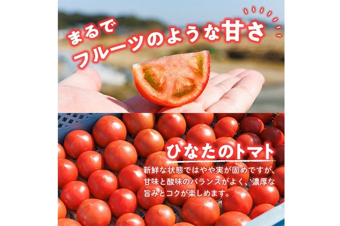 門川ひなたのトマト(800g×2箱) 高糖度 トマト フルーツトマト 野菜 旬野菜 冷蔵 門川町産 宮崎県 門川町 【宮崎県農業協同組合日向地区本部(門川選果場)】【TM-02】