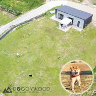 淡路島で愛犬と泊まれる宿＜DOGGYWOOD＞で使える宿泊ご優待券10,000円分