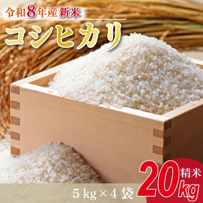 【数量限定】【9月下旬より順次発送】R8年産 コシヒカリ 20kg(5kg×4袋)｜米 お米 白米 精米 R7年産 令和7年産 こしひかり コシヒカリ 茨城県 茨城県産 行方市(HA-15)