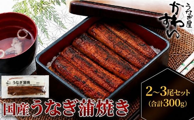 国産うなぎ  蒲焼き 2～3尾セット(合計300g) タレ付き 国産 うなぎ ウナギ 鰻 蒲焼 かば焼き セット 惣菜 冷凍 土用