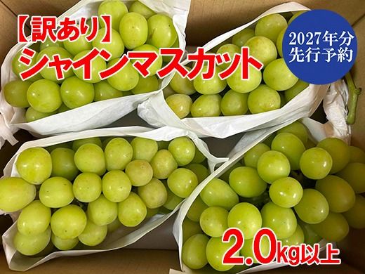 【2027年発送分 先行予約】【訳あり】シャインマスカット  2kg以上 (3～6房) 【8月下旬以降発送予定】 訳アリ 訳あり品 シャイン マスカット ぶどう ブドウ 葡萄 徳用 家庭用 ご家庭用 旬 新鮮 くだもの 果物 フルーツ 山梨 やまなし 富士川町