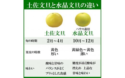 【先行予約】水晶文旦 ご家庭用お得箱 約6kg Mサイズ～4Ｌサイズ（12～16個入り）〈2026年10月上旬～11月上旬頃発送〉  /  訳あり ワケあり 訳 傷 キズ へこみ 文旦 ブンタン ぶんたん 水晶文旦 果物 柑橘【白木果樹園】 [BQAI022]