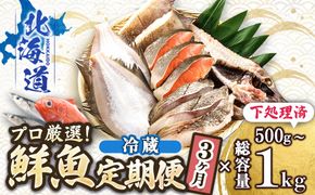 【定期便 3ケ月連続】 お魚の目利きのプロにお任せ！北海道産（国産） 天然 鮮魚 約500g～1kg（釧路の鮮魚セット） 産地直送 冷蔵 冷蔵便 刺身 セット 鮮魚セット 鮮魚ボックス 定期便 魚介類 海鮮 絶品 人気 ヒロセ 北海道 釧路町 釧路超 特産品　121-1262-142-008