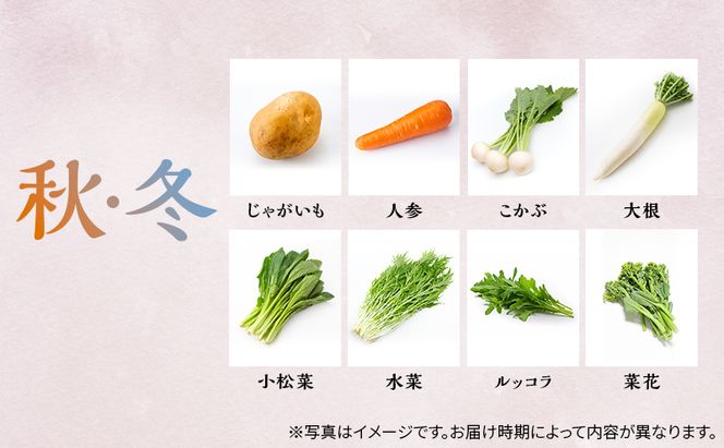 季節の野菜 8～10品目 セット 栽培期間中 無農薬 化学肥料不使用 旬 野菜 岡山