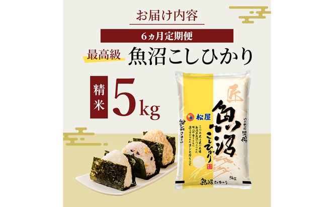 【定期便 6か月】 松屋フーズ 最高級 魚沼産コシヒカリ 5kg