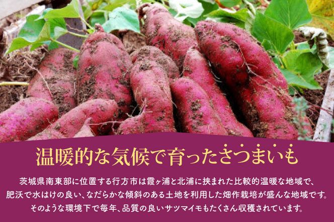 EY-41　紅はるか冷凍焼き芋50袋！！合計8～9kg(電子レンジ対応袋使用)イベント・催事等にも！