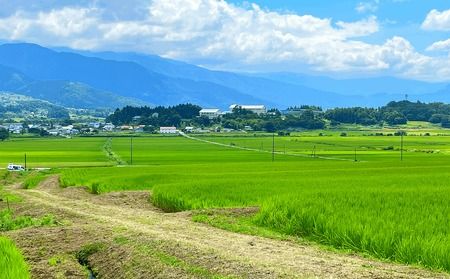 【９月中旬より順次発送】新米 こしひかり 令和6年産 『奥信濃の棚田米 実の里』 玄米 10kg (6-62A)