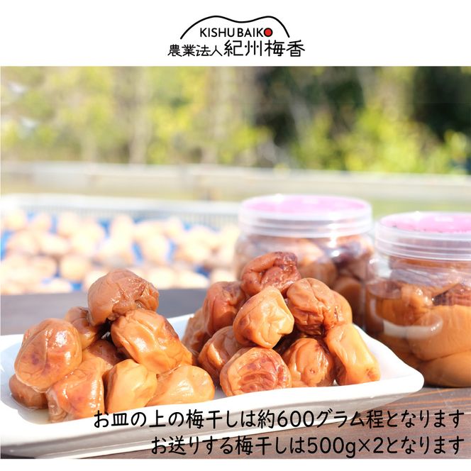 【梅干し 紀州南高梅 はちみつ】 無添加 訳あり はちみつ梅干 1kg（500×2） 紀州梅香 / 塩分6％ 和歌山 梅干し 紀州南高梅 南高梅 梅干 梅 うめ 肉厚 お米 おにぎり 焼酎【baiko001A】