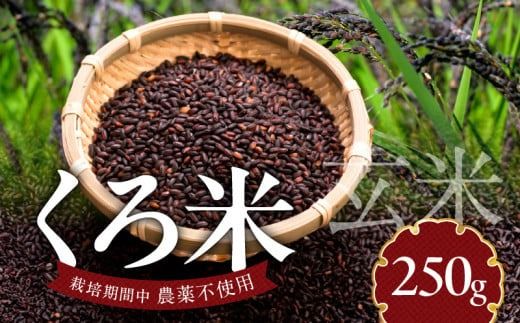 米くろ米250g N0182-YA0471