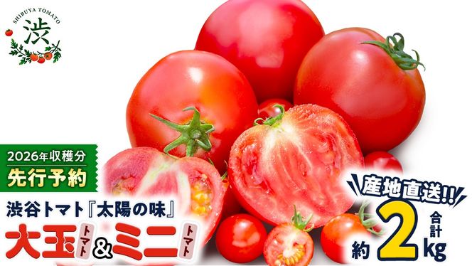 【 2026年 収穫分 先行予約 】 -太陽の味- 渋谷トマト 大玉トマト・ミニトマト詰め合わせ 約2kg 2026年1月5日～発送開始 トマト ミニトマト 茨城 産地直送 農家直送リコピン ビタミン 有機肥料 野菜 甘い 直売所 [EL04-NT]