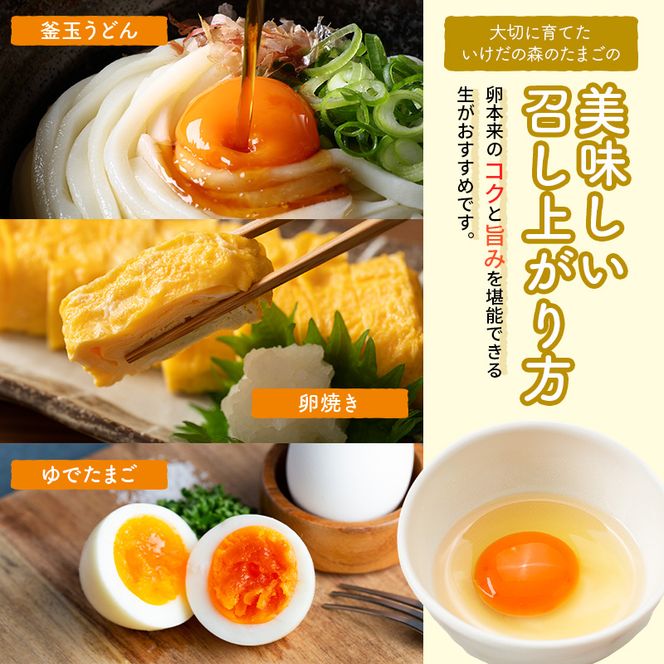 卵 わずか4%の希少な純国産鶏 いけだの森たまご 60個 こだわり おこめのたまご 玉子 鶏卵 生卵 産地直送 冷蔵配送 TKG 卵かけご飯 岐阜県産 