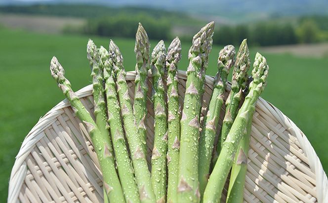 【2026年春発送】富良野産 グリーンアスパラ Lサイズ 約1.5kg アスパラ 野菜 アスパラガス