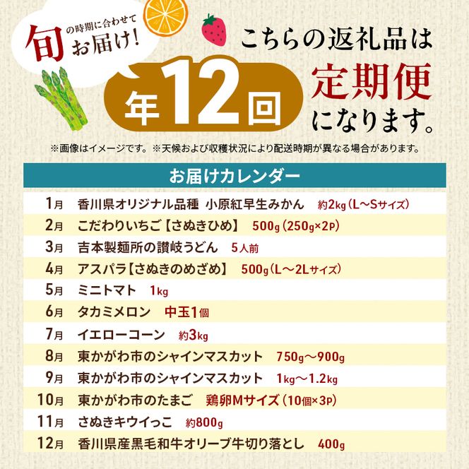 東かがわ市ちょこっと定期便(12回) みかん いちご 讃岐うどん アスパラ トマト メロン コーン 豚肉 シャインマスカット 卵 キウイ 黒毛和牛 香川