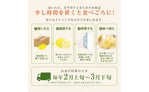 先行予約 訳あり 土佐文旦 家庭用 約3kg 約4～10玉 M～5L混合サイズ 高知県産 文旦 ブンタン ぶんたん 柑橘 かんきつ 蜜柑 みかん 柑橘類 フルーツ 果物 くだもの デザート おやつ 爽やか 甘い ジュース スイーツ 美味しい おいしい