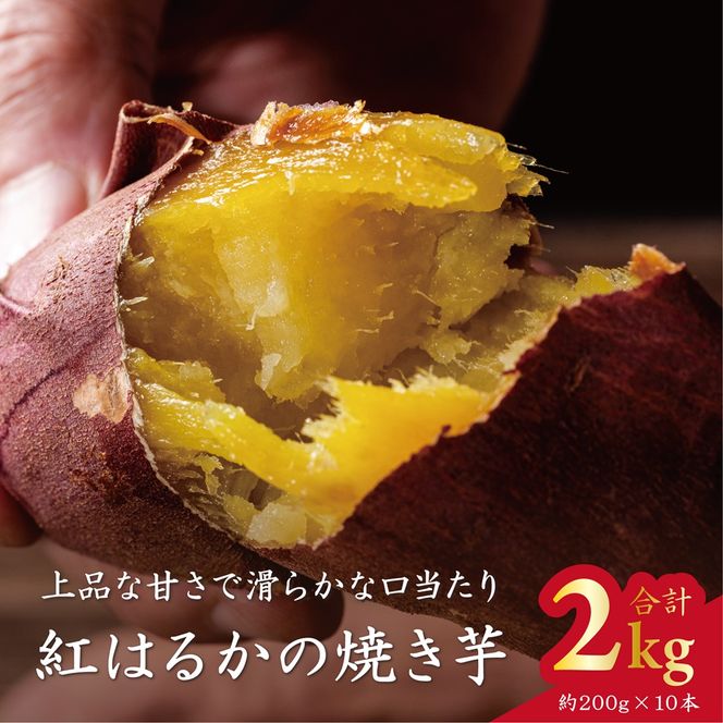 ★ふるさと納税限定★Ms.YAKIIMO　紅はるかの焼き芋　2kg（10本）｜（AP-9）
