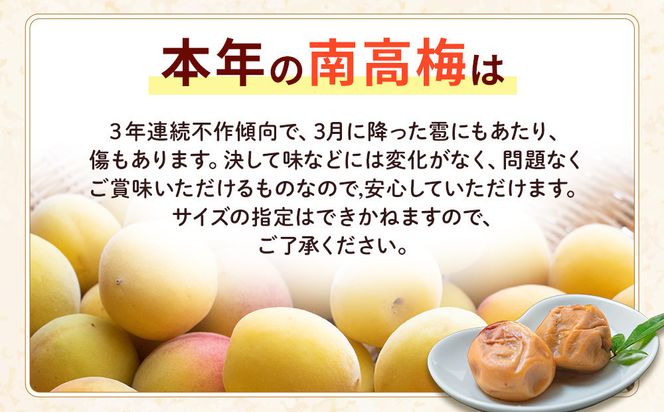 訳あり 紀州南高梅 小梅 まごころ はちみつ梅 90g ×4パック 減塩5％ ［TR9w］ 304018_CS021