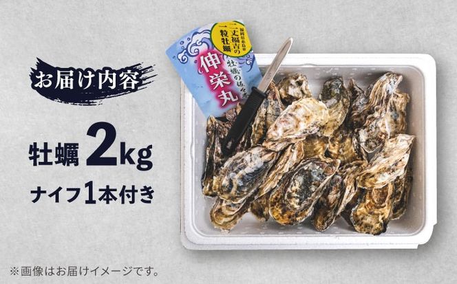 【加熱用】一粒牡蠣 カキ 2kg (牡蠣ナイフ付き) 糸島産 福吉 糸島市 / 伸栄丸 カキの佐々木 牡蠣 生カキ 生食用 殻付き カキ 生牡蛎[ATH001]