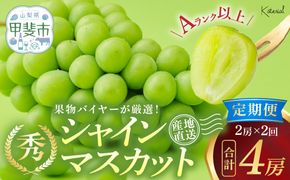 【来年（2026年/令和8年）発送＜先行予約＞】 定期便 シャインマスカット 2房 約1.3㎏ 2回 計4房 先行予約 先行 予約 山梨県産 国産 産地直送 人気 おすすめ 贈答 ギフト お取り寄せ フルーツ 果物 くだもの ぶどう ブドウ 葡萄 シャイン シャインマスカット 新鮮 甘い 皮ごと 山梨 甲斐市 AD-247