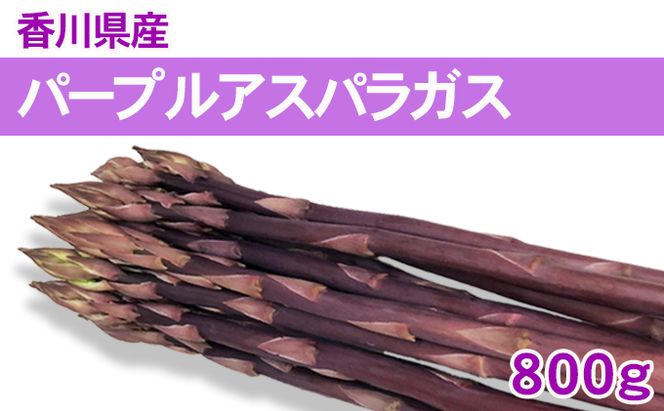 パープルアスパラガス 800g 野菜 野菜セット 