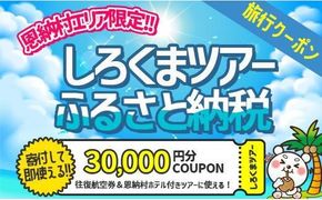 【恩納村】しろくまツアーで利用可能なWEB旅行クーポン（30,000円分）