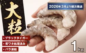 至福の大粒 むきえび　背ワタ処理済 1kg【2026年3月より順次発送】　ブラックタイガー 冷凍 ムキエビ  大型 海老
