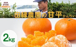 【先行予約】【数量限定】田縁農園の甘平（かんぺい）2kg ※離島への配送不可 （2026年1月25日より順次発送） IKTA028