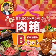 BN6136_お楽しみ肉箱 Bセット お試し ドキドキ 黒毛和牛 ハンバーグ ステーキ ロース ヒレ 焼肉 すき焼き しゃぶしゃぶ 盛り合わせ コロッケ ローストビーフ 食品 和歌山県 湯浅町 送料無料 
