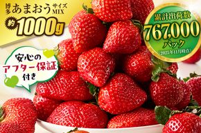 【先行予約】【アフター保証】 「博多あまおう」約250g×4パック【2月上旬～3月発送】【JAほたるの里】_HA0433