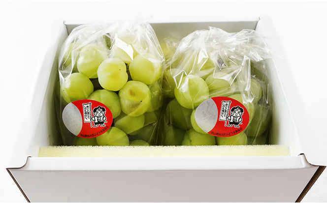 ぶどう 2026年 先行予約 桃太郎 ぶどう 2房（1房480g以上）化粧箱入り ブドウ 葡萄 岡山県産 国産 フルーツ 果物 ギフト 大粒 種なし 果汁たっぷり 酸味 甘さ バランス [№5735-1472]