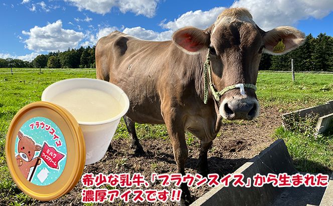 【卵不使用・無添加】ブラウンアイス（100ml）6個セット 北海道 南富良野町 アイス アイスクリーム デザート 無添加 バニラアイス バニラ お菓子 スイーツ ひんやり おやつ 夏 なめらか 濃厚 コク クリーミー しっかりした甘さ 