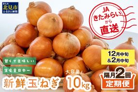 【隔月2回(12月・2月)定期便】JAきたみらいから直送する新鮮玉ねぎ 10kg Lサイズ以上 ( 野菜 定期便 玉葱 たまねぎ 期間限定 )【999-0148-2026】