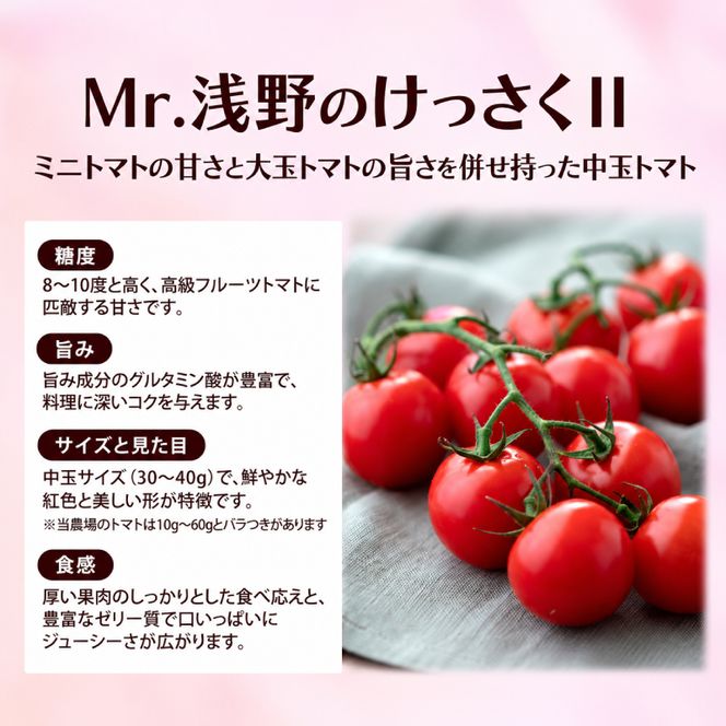 訳あり 北海道 十勝の太陽を浴びたプレミアムトマト 「Mr.浅野のけっさく2」2.5kg ［中村農場］【 訳あり トマト フルーツトマト 中玉トマト ミディトマト 高糖度 甘い 濃厚 寒暖差 野菜 こだわり 農家直送 北海道 十勝 幕別 】
