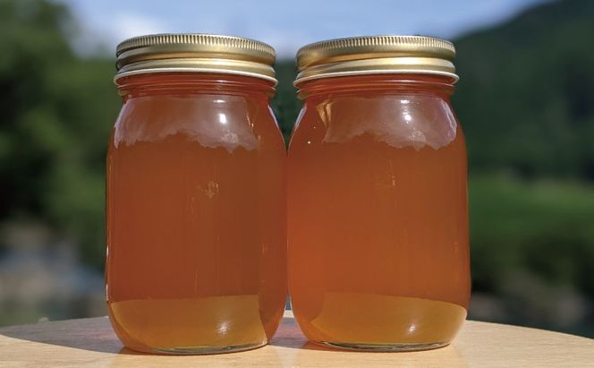 合計1200g 天然蜂蜜 国産蜂蜜 非加熱 生はちみつ 岐阜県 美濃市産 春 (蜂蜜600g入りガラス瓶2本セット)A6 深田養蜂のハチミツ