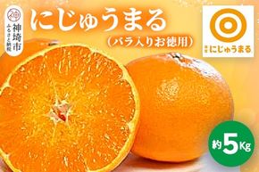 【2025年3月上旬より発送開始】にじゅうまる 約5kg バラ入りお徳用【佐賀県 みかん 柑橘 果物 くだもの フルーツ】(H116162)