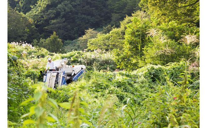 江戸伝承棚田米４Kg（２kg×２） お米 コメ 