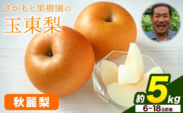 さかもと果樹園の玉東梨 秋麗梨 約5kg (6玉-18玉前後) [8月中旬-8月下旬頃出荷][日付指定不可] 熊本県玉名郡玉東町 梨 なし 果物 フルーツ 秋麗---sg_csksyurei_b8_25_15000_5kg---