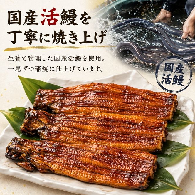 高島屋選定品 うなぎ 蒲焼き 3尾 ハーフカット タレ・肝付き 国産鰻 国産 うなぎ蒲焼 惣菜 おかず