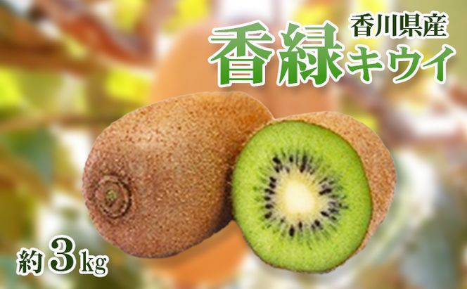 香緑 (こうりょく) キウイ3kg キウイフルーツ フルーツ 果物 くだもの 果実 旬の果物 旬のフルーツ 香川 香川県 東かがわ市