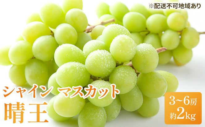 ぶどう 2026年 先行予約 シャイン マスカット 晴王 3房～6房 約2kg ブドウ 葡萄  岡山県産 国産 フルーツ 果物 ギフト シャインマスカット 美しい 大粒 種なし 弾力 高糖度 甘い 