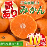 ＜先行予約受付中！2026年10月中旬以降順次発送予定＞ 訳あり！鹿児島県産みかん(計約10kg) 大容量 傷あり 不揃い 国産 柑橘 果物 くだもの フルーツ 旬 期間限定 数量限定 訳アリ 規格外 ご家庭用 ご自宅用 ミカン ノーワックス【三笠農業生産】akn051-04